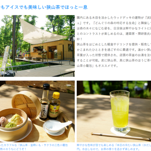 チームラボ どんぐりの森の呼応する生命／武蔵野樹林パーク（Netz Saitama PARK）