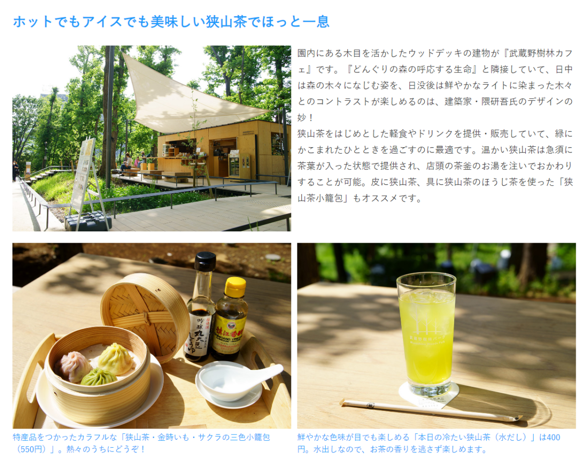 チームラボ どんぐりの森の呼応する生命/武蔵野樹林パーク(Netz Saitama PARK)
