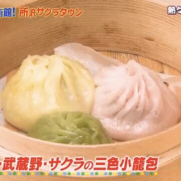 フジテレビ「もしもツアーズ ～遊べる未来型ミュージアム ところざわサクラタウンツアー～」