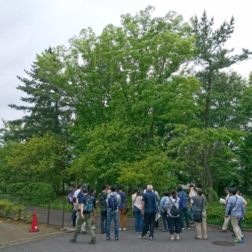 所沢は日本のポートランド！？椿峰ニュータウンの魅力発掘まち歩きツアー