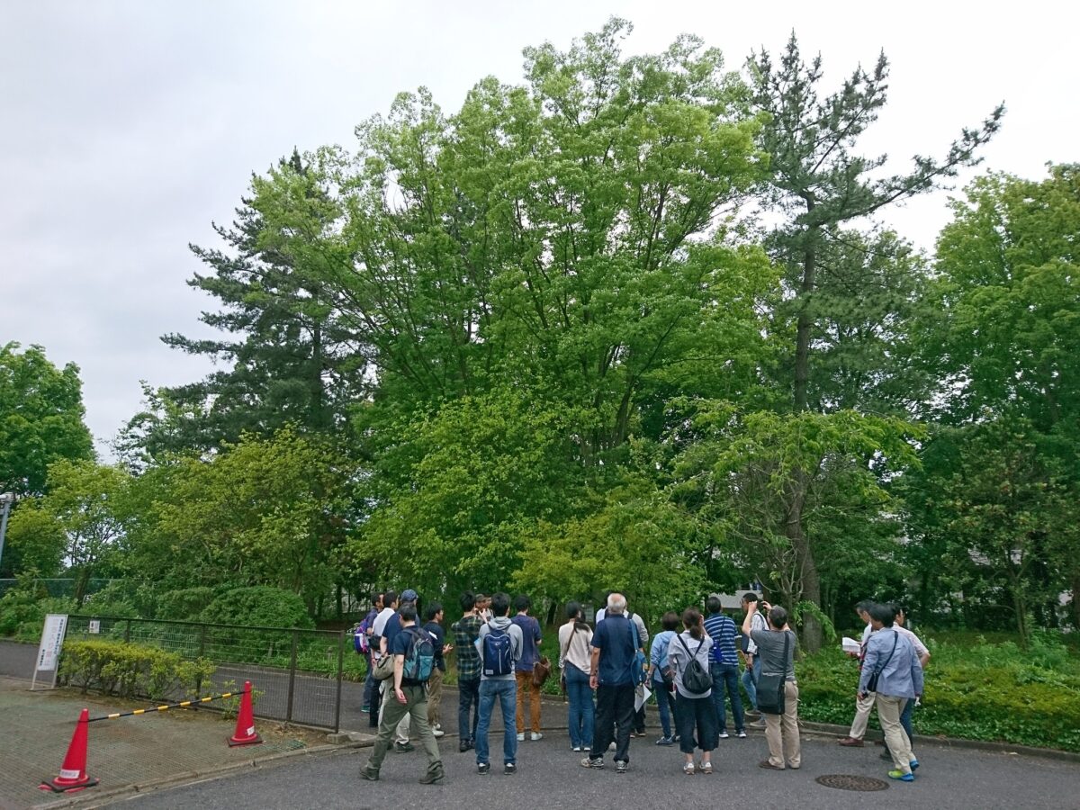 所沢は日本のポートランド!?椿峰ニュータウンの魅力発掘まち歩きツアー